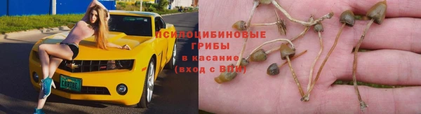 гидропоника Алзамай