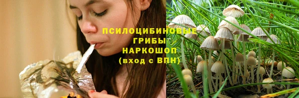 spice Алексин
