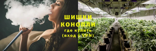молекула духа Алексеевка