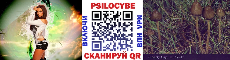 где найти   Ипатово  Псилоцибиновые грибы Cubensis 
